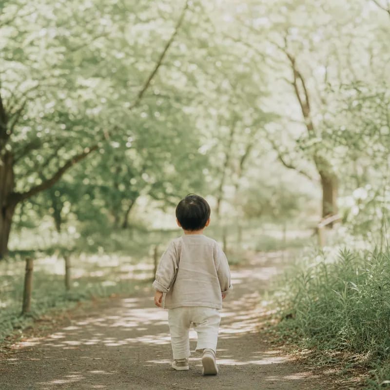 木立の道を歩く子ども